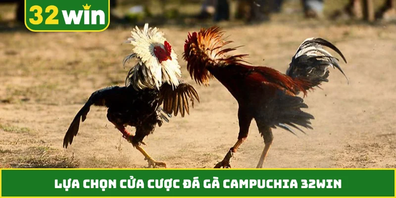 Lựa chọn cửa cược đá gà Campuchia 32WIN