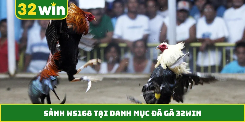 Sảnh WS168 tại danh mục đá gà 32WIN