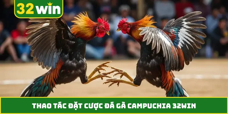Thao tác đặt cược đá gà Campuchia 32WIN